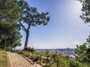 Palazzo / Stabile in vendita a Roma RM