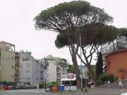 Palazzo / Stabile in vendita a Roma RM