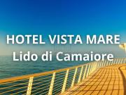 Attività / Licenza in vendita a Viareggio LU