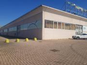 Palestra in affitto a Ponsacco