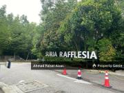 PALING MURAH Apartment Suria Rafflesia, Setia Alam