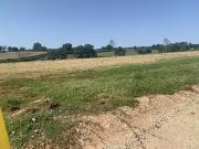 Palinges 71430 Programme neuf terrain neuf à vendre