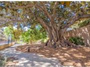 Palma Center Apartment 3 bedroom next Ramblas