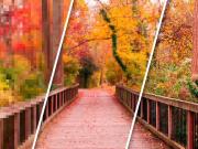 PALMAS Y PERIFERICO! UNICO 10 NIVELES