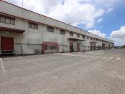 Palmela Palmela 90646279