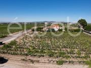 Palmela Palmela 93246182