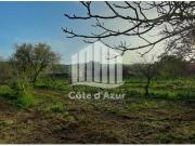 Palmela Palmela 94863292