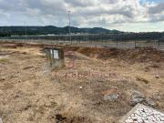 Palmela Palmela 98319224