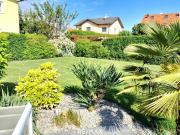 PALMEN, POOL und BARBEQUE