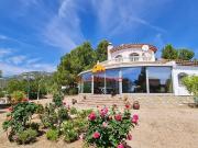 Palmeras Immo ¡Vive en el corazón de la naturaleza en...