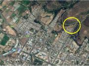 PALMIRA ROMANO / COLÓN, LIMACHE