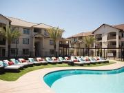 Palms at Morada Diamond Palm