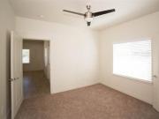 Palms at Morada Majestic Palm