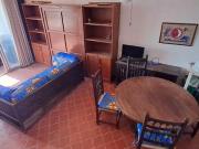 PALOMAR C 3 LB706141O2025706ML