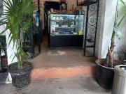 Panader?a de masa madre en Del Valle en traspaso