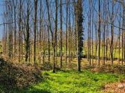 PANCE Bretagne 35320 89517035