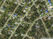 Pandora Ter, North Port, Plot For Sale