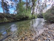 PANGUIPULLI EXCELENTE TERRENO 5,9 HÁ CON SUBDIVISION...