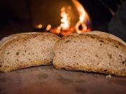 Panificio in vendita a Cecina