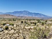 Panorama Dr, Morongo Valley, Plot For Sale