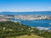 Panoramablick auf den See und den Jura