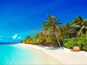 Panoramique vue plage Vide Couple Marié