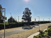 PAPUDO LAGUNA, PAPUDO