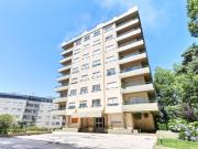 para alugar Apartamento de alto padrão de 180 m2, Porto