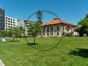 para alugar Apartamento de luxo de 182 m2, Amoreiras Sao...