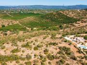 para construção com vistas deslumbrantes sobre vinhas em...