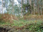 para Construção, Fafe, Antime