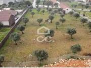 para construção localizado em Fatima. 5 min do...