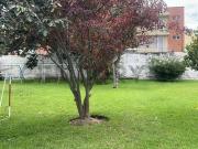 Para constructores amplia propiedad de venta en el Valle...