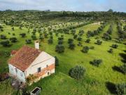 Vende se: Bela casa antiga para renovar  magnífico...