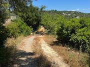 Para venda terreno rustico, com 1000 m2 em Boliqueime