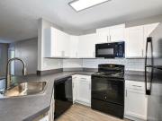 Paradise Island The Orchid