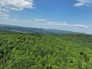 Paradise Ln, Charleston, Plot For Sale
