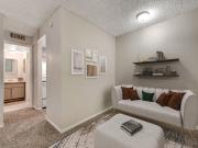 Paradise Royale Studio Apartment for Rent at 4505...