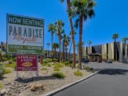 Paradise Royale Studio Deluxe