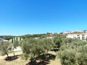 Paradou Vente Appartement 13