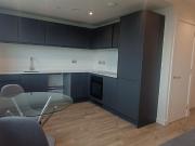 Paragon 807, 48 Seymour Grove M16, 1 bed flat to rent,...
