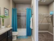 Paragon Westover Hills Apartments 1 Bedroom Apartment...