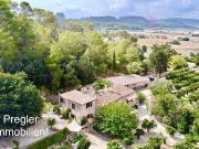 Paraíso de naranjos, pura naturaleza!