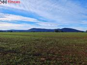 ¡Paraíso de Olivar en Toledo – 30 Hectáreas de...