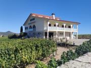 Paraíso Vinícola em Alijó: Quinta com Vinha e Produção à...