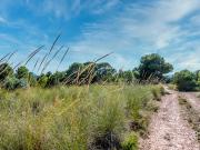 Paraje Fuente del Peral y Rincón del Majariego