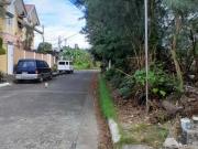 Parañaque lot for sale in Marcelo Green Village 350 sqm