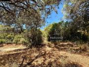 PARCELA 3000m² CON PEQUEÑA EDIFICACIÓN A 10 MINUTOS DE...