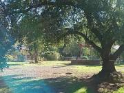 PARCELA 5000M2 CERCANA A CASA BOSQUE/ CAJÓN DEL MAIPO