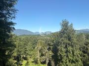 Parcela 5.000 m2 en Venta Sector Carhuello, Pucón